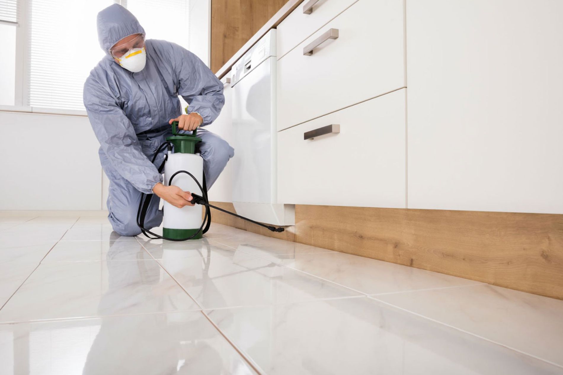 disinfestazione cucina