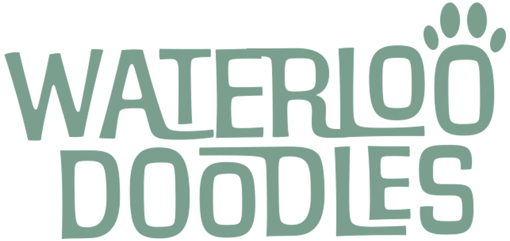 WaterlooDoodles Logo