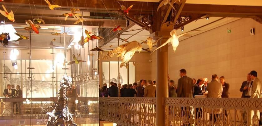 Musée des Sciences Naturelles -Salle à louer à Bruxelles pour vos évènements professionnels