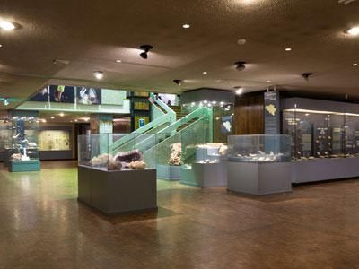 Musée Des Sciences Naturelles - Salle à louer à Bruxelles avec traiteur bio