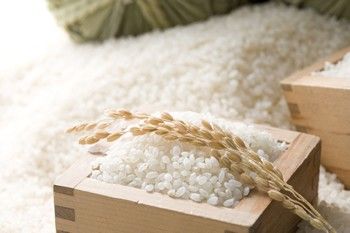 【免運組任選】花蓮富里深山米 2kg × 10入