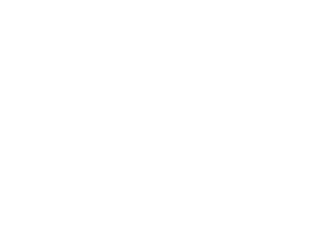 True Relationships Logo - Patient Zero Health & NGO Software Client