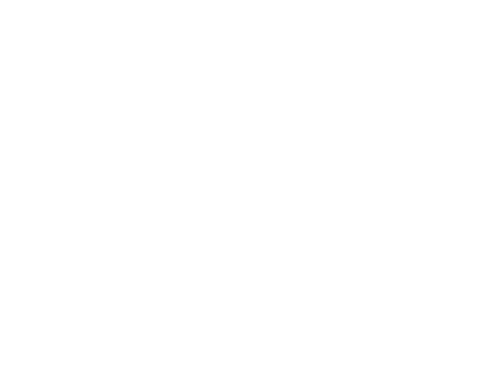 NTI Logo - Patient Zero Logistics, Transport and Insurance Software Client