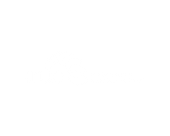 True Relationships Logo - Patient Zero Health & NGO Software Client