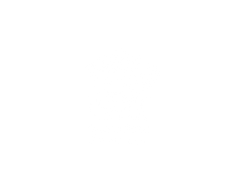 Queensland Government Logo - State government software development partner