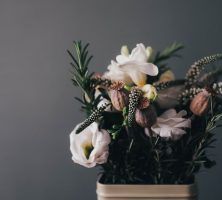 cremation service in Hampshire, TN