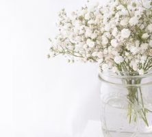 cremation service in Summertown, TN