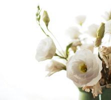 funeral homes in Lawrenceburg, TN