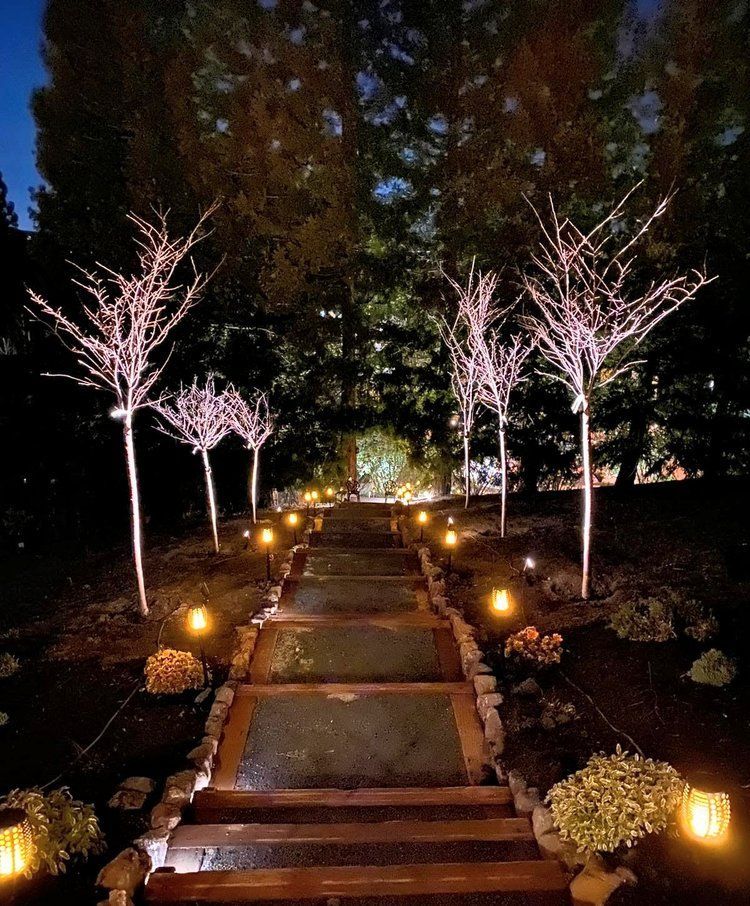 Castro Valley outdoor stairs with landscape lighting 