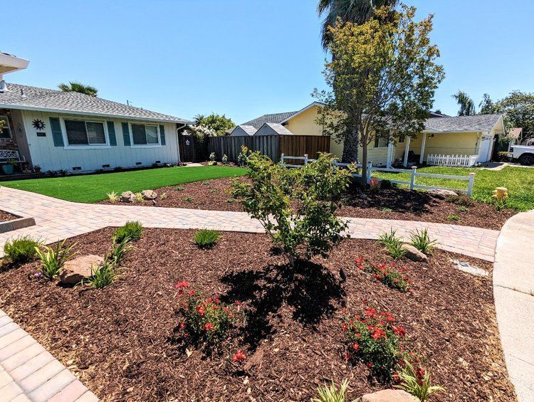 Orinda front yard landscape design & install