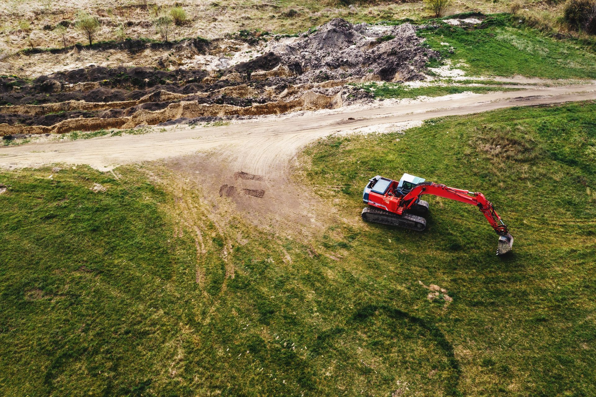 A bulldozer is cutting down a tree in the woods.