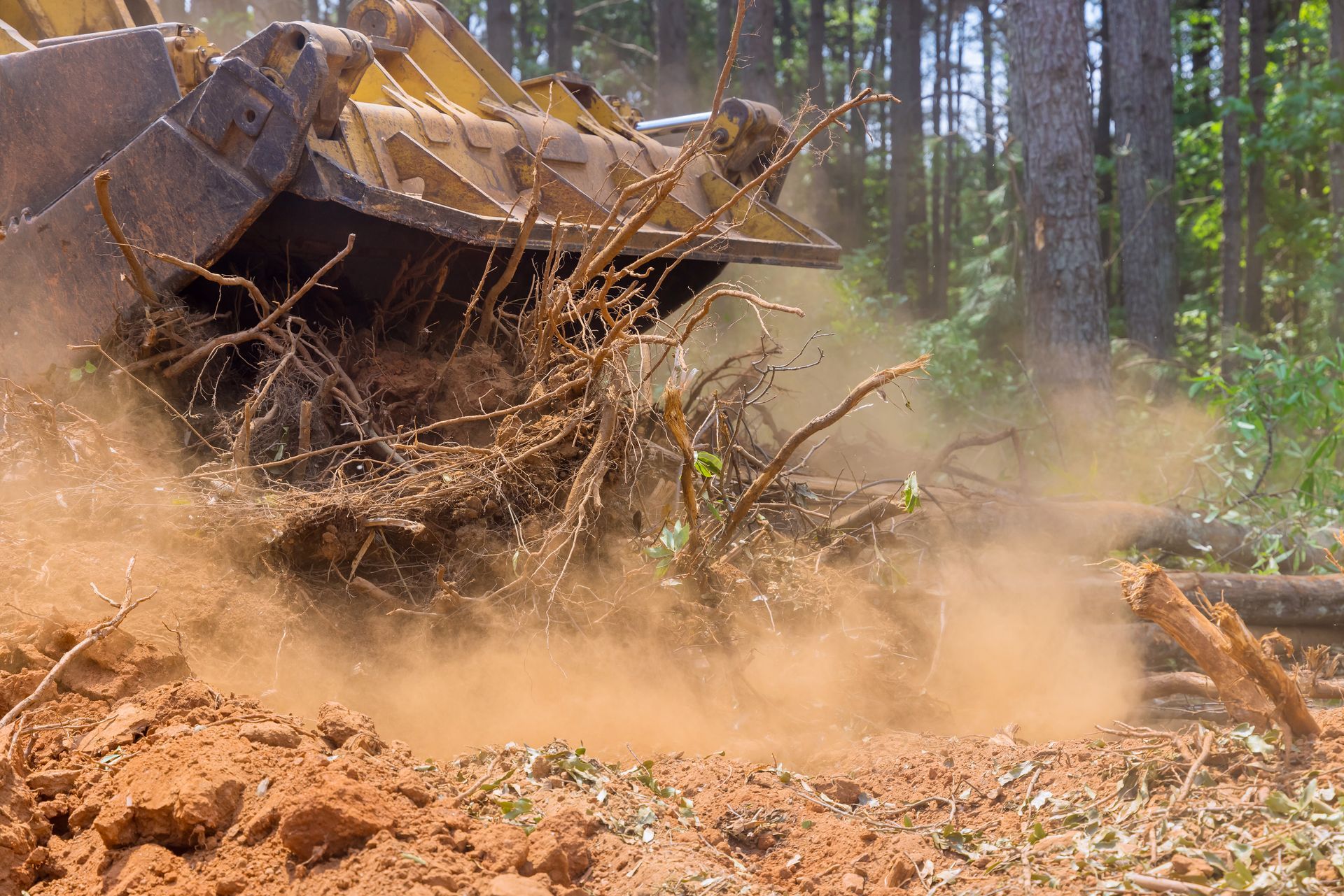 A bulldozer is cutting down a tree in the woods.