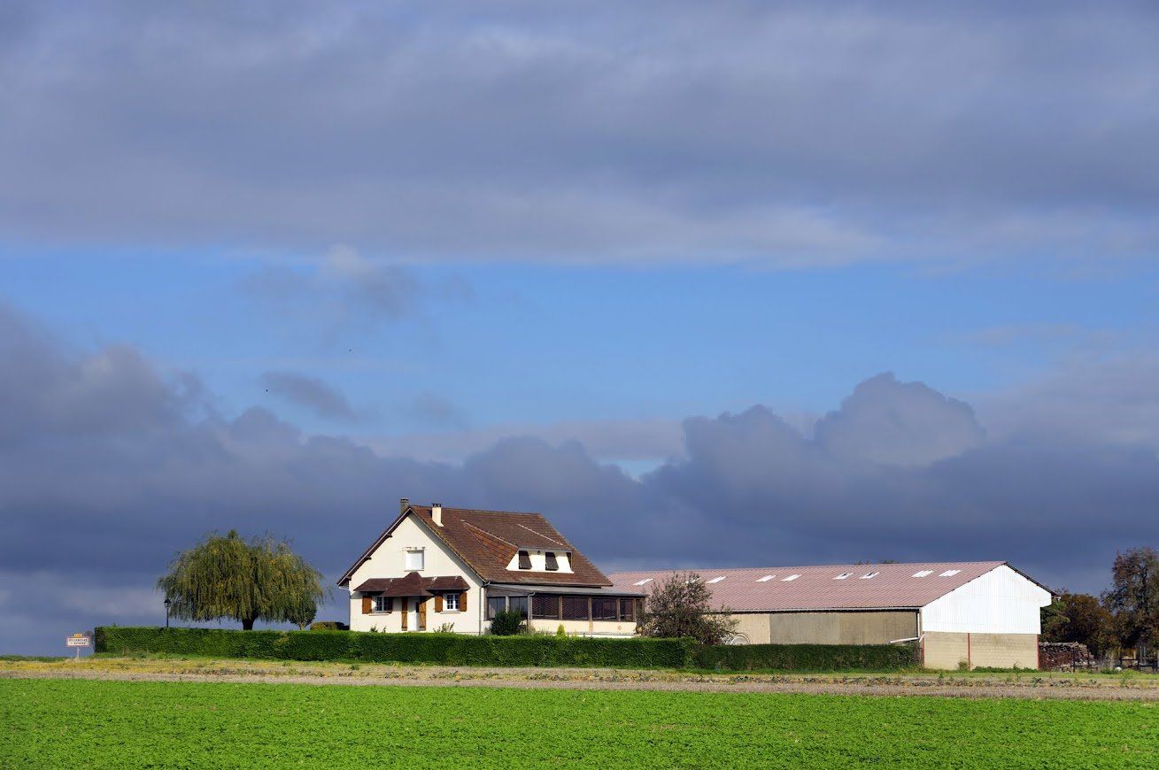 Farmhouse and barn against a blue and cloudy sky. Green fields in foreground, trees scattered.