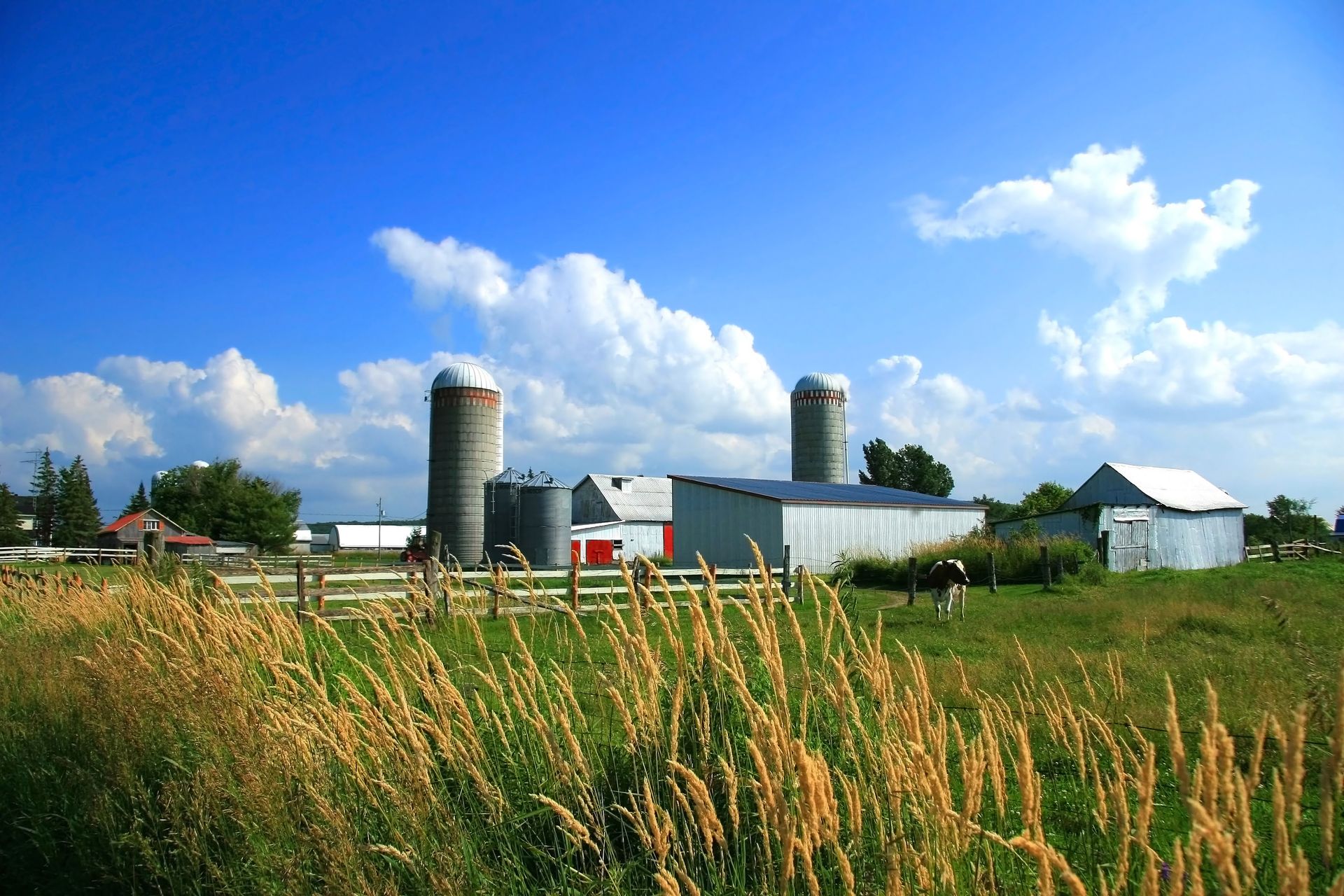 Farm scene with silos, barns, and tall grass under a blue sky with clouds.