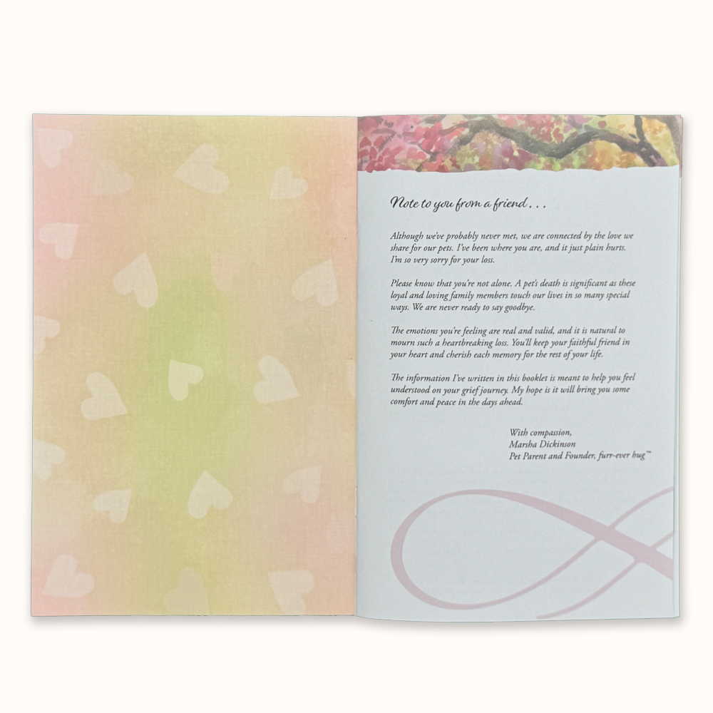 Booklet with watercolor of a bridge in a park. Text says, 