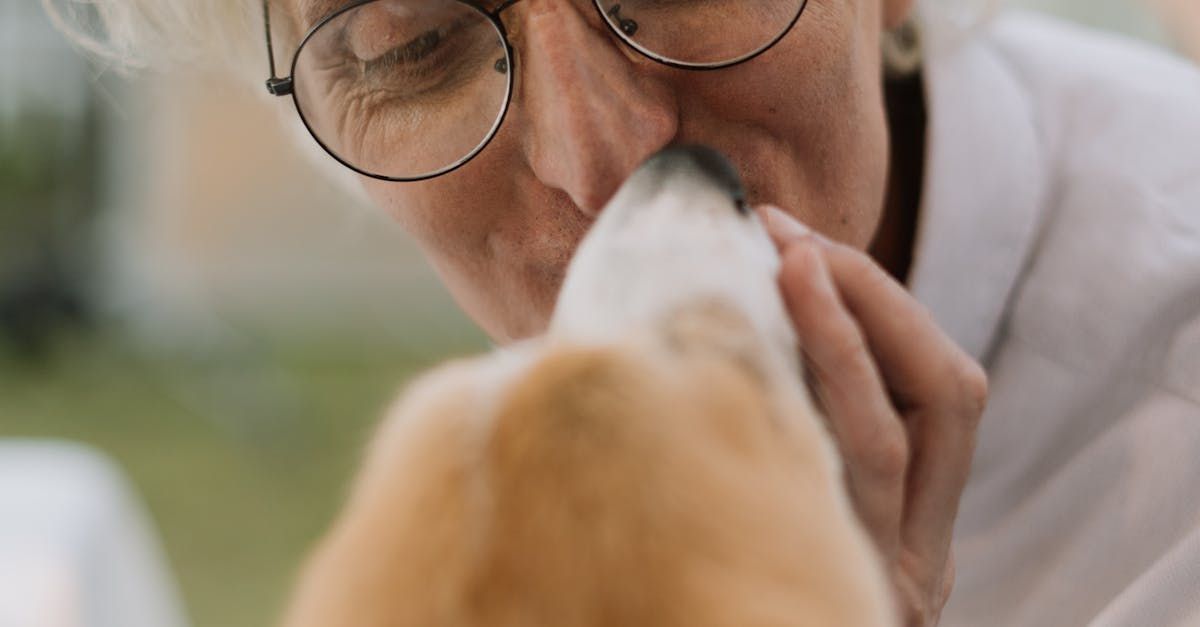 pet owner and dog
