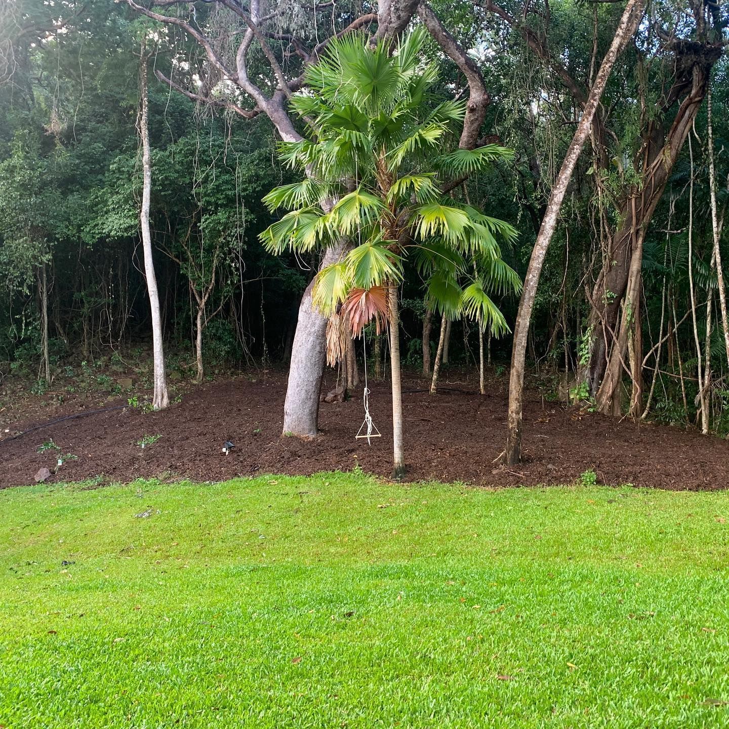 Green Grass Leads to a Mulch Bed — Terranovus Earthworks & Plant Hire in Tablelands, QLD
