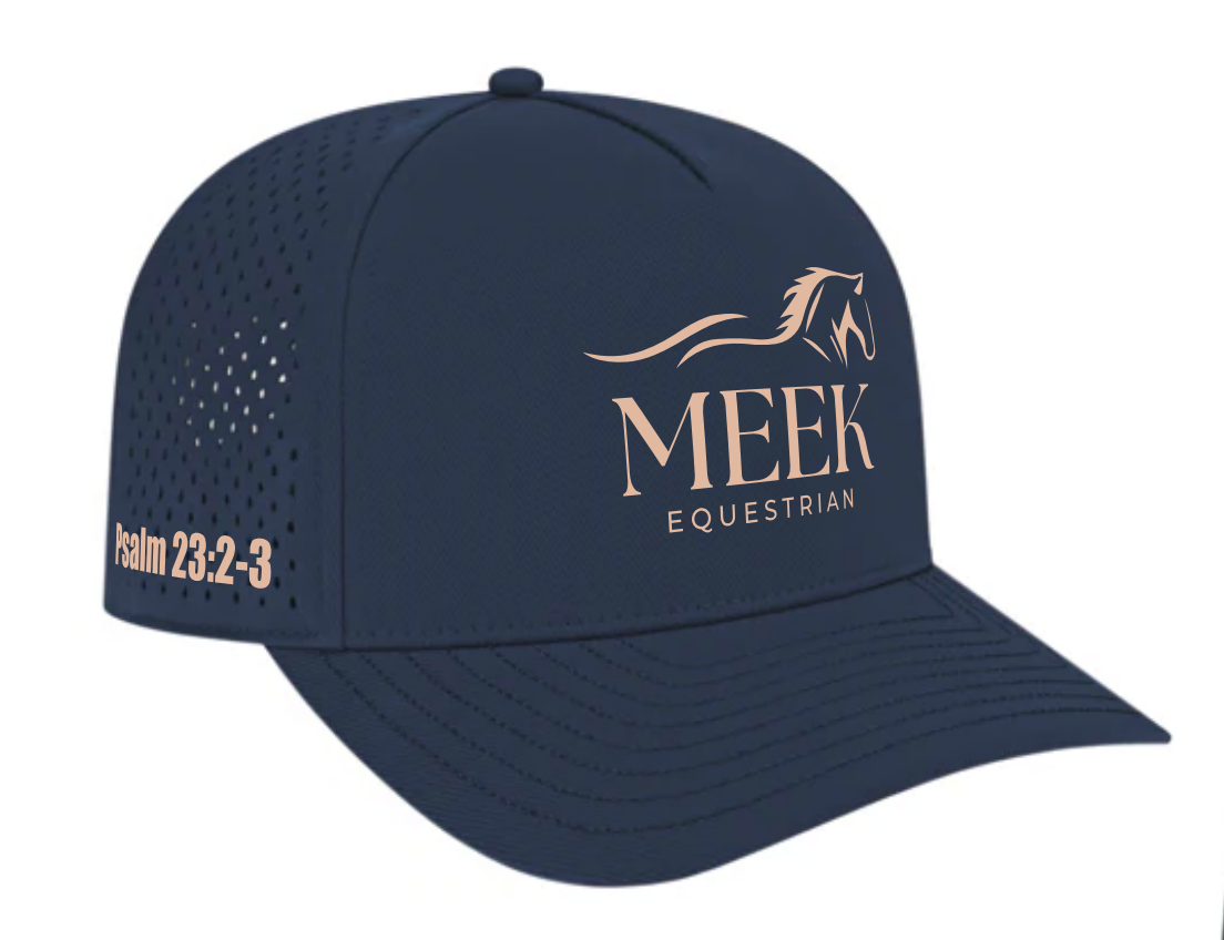 Blue MEEK Hat