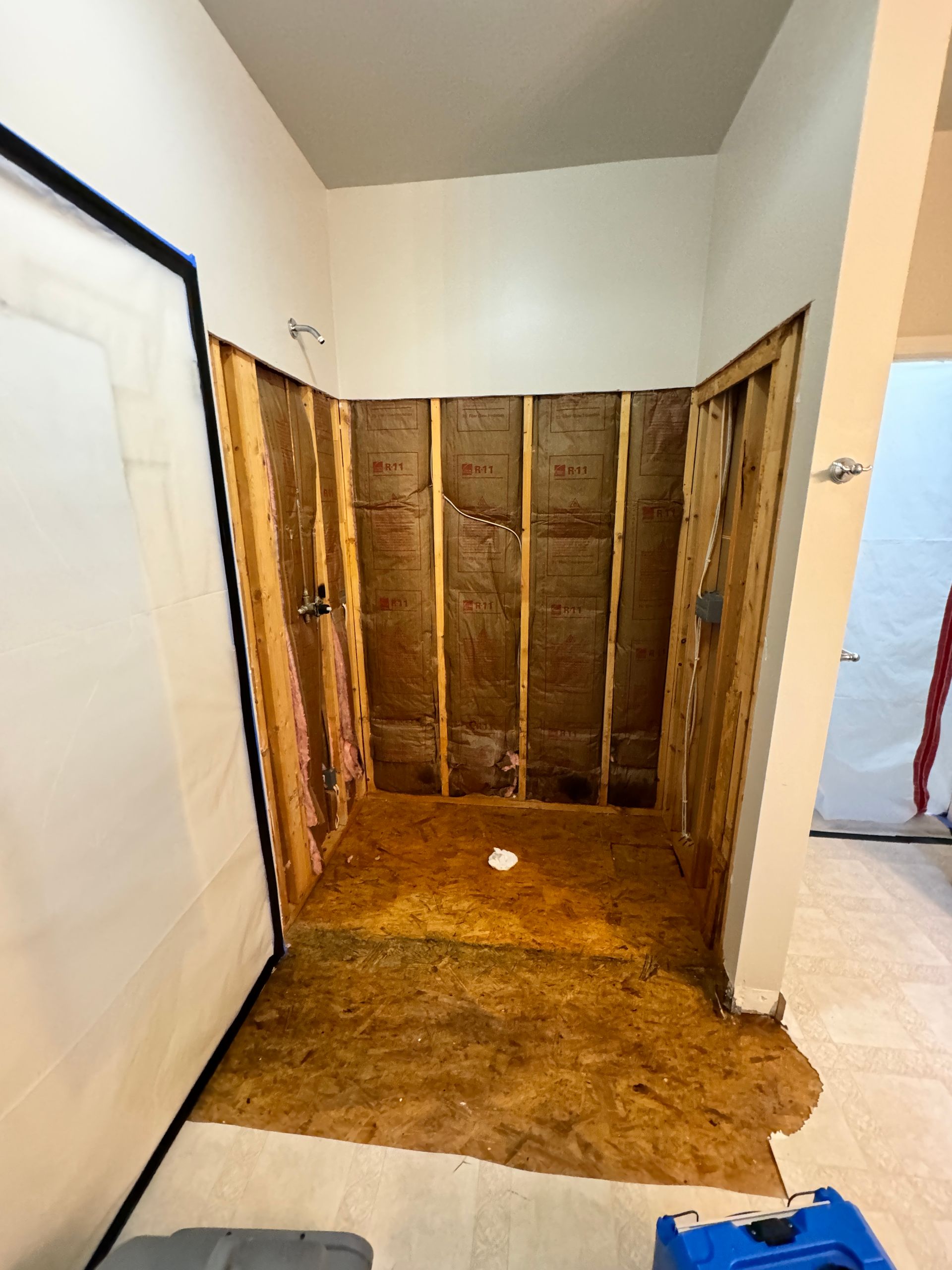 Mold Remediation Nolensville TN
