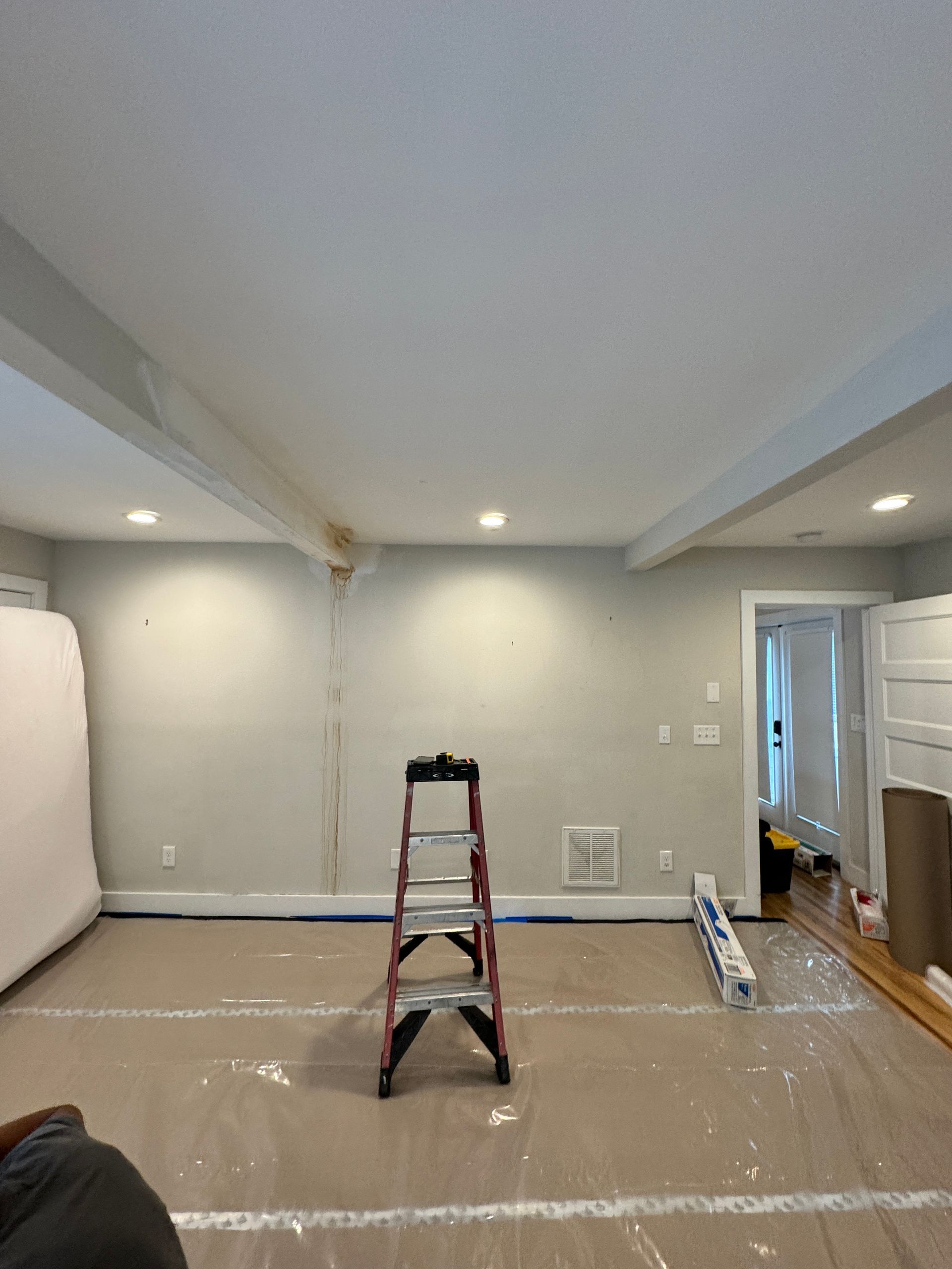 Mold Removal Spring Hill TN
