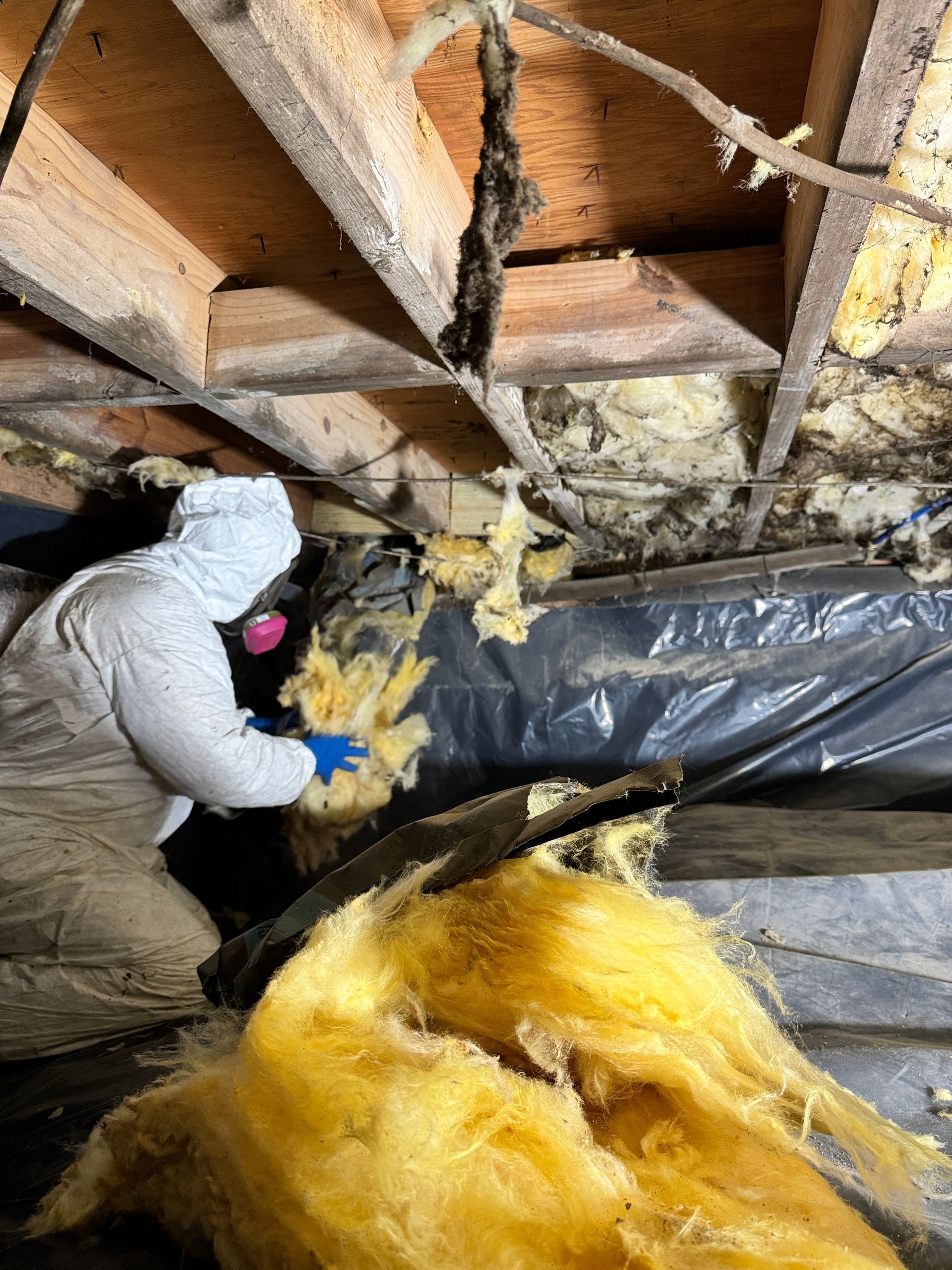 24/7 Mold Removal Murfreesboro TN
