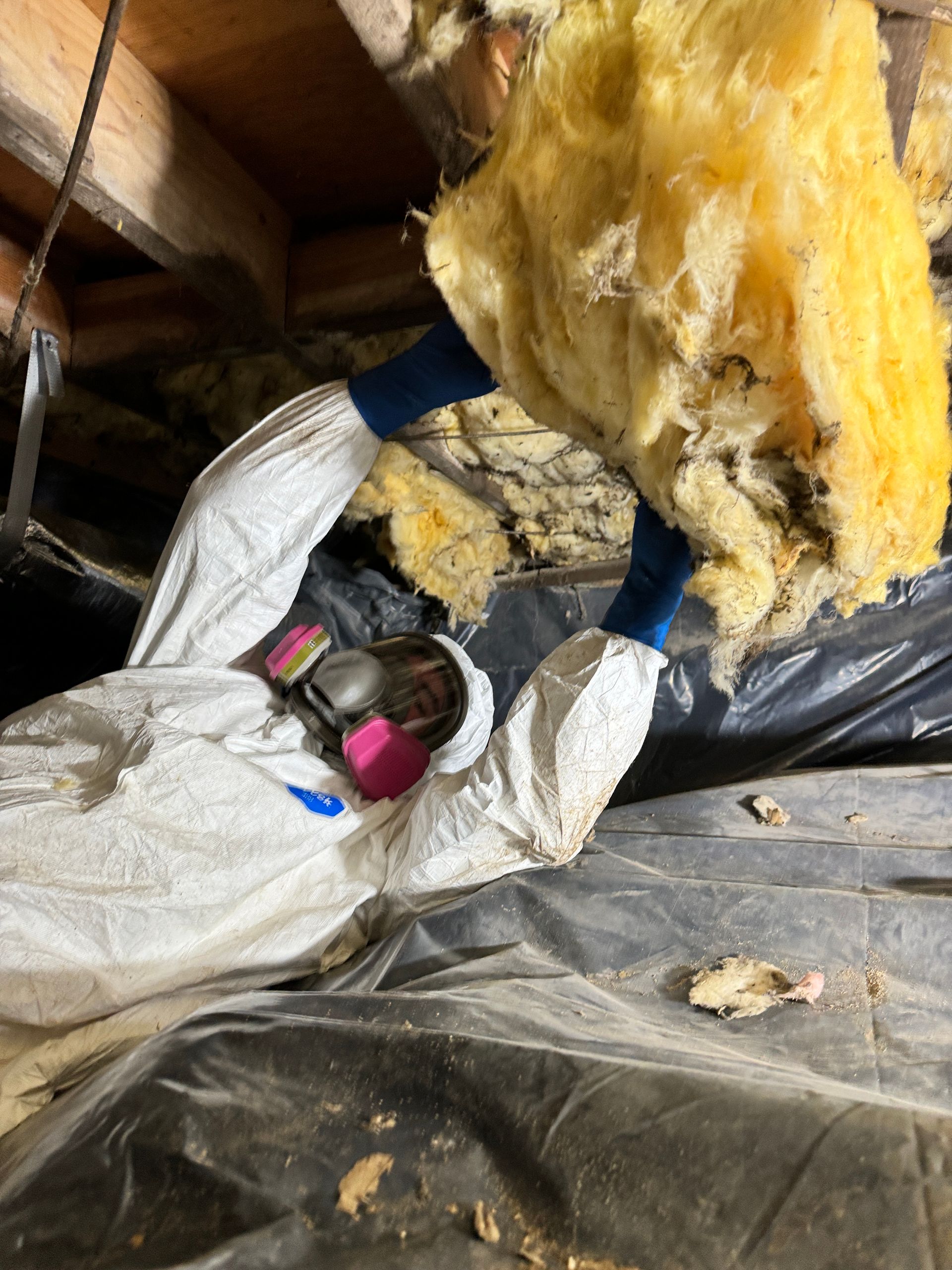 Certified Mold Remediation Murfreesboro TN
