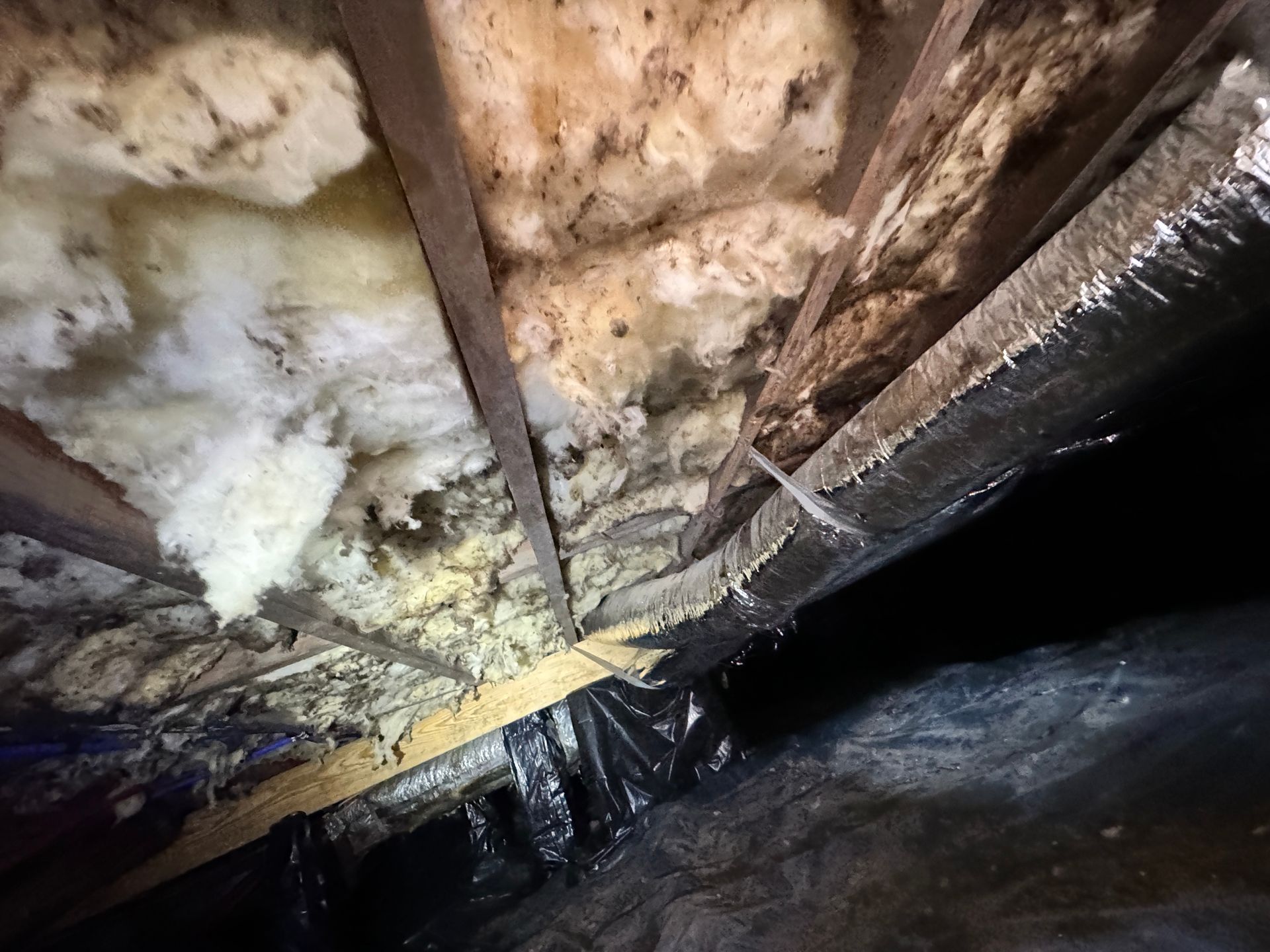 Interior view of a crawl space with exposed wooden beams, insulation, and black plastic sheeting.