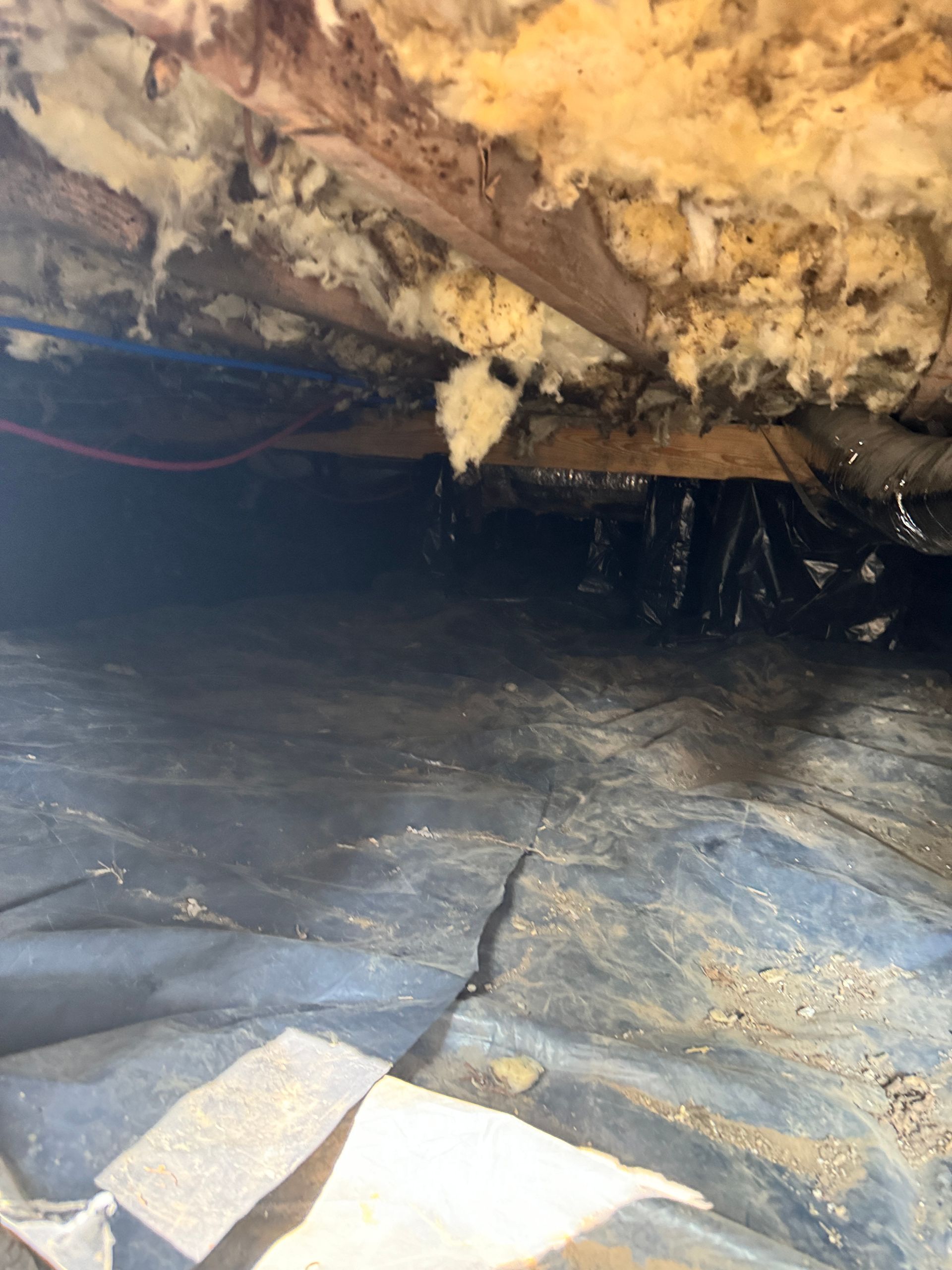 View of a crawl space. Black plastic covers the ground, insulation and wood above, and a red wire is visible.