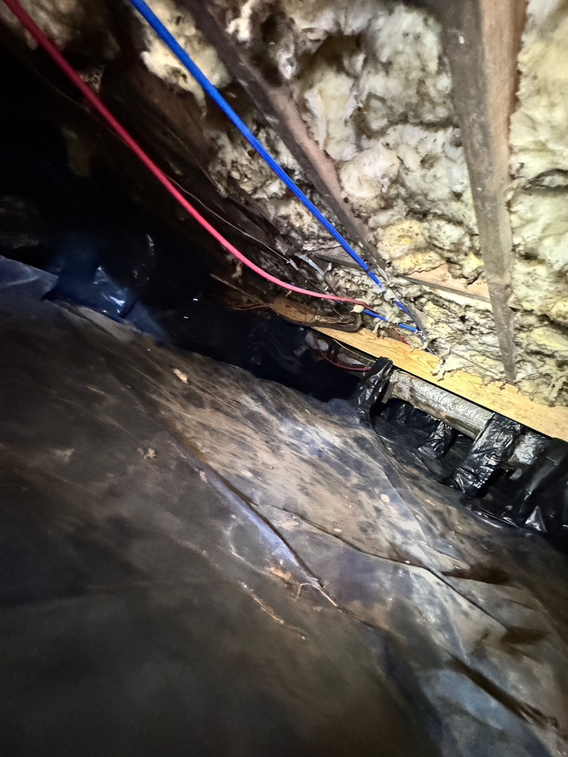 Dark, damp crawl space with black plastic, insulation, wires, and wooden beams.