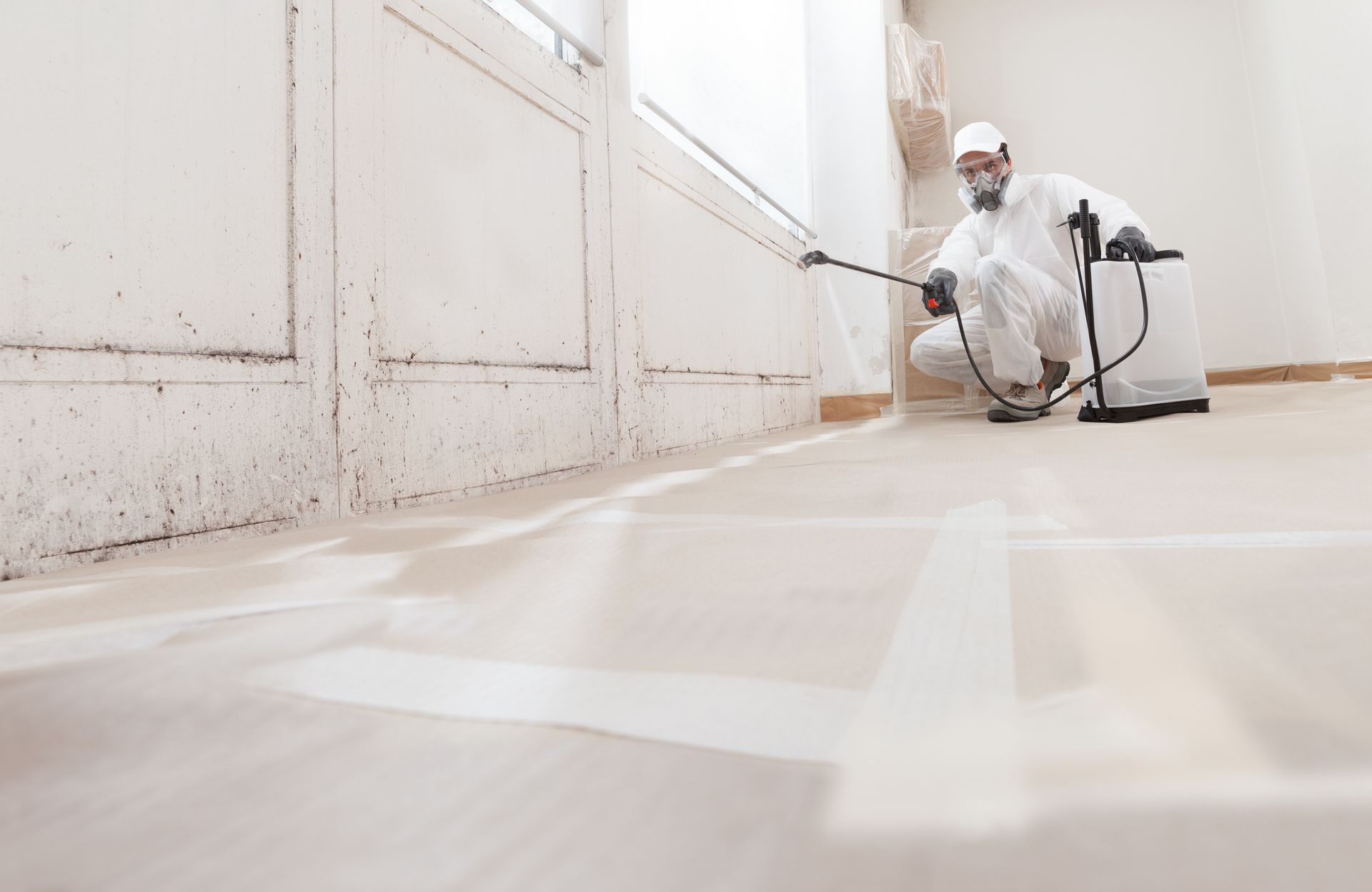 A professional worker spraying products to remove mold before house painting.
