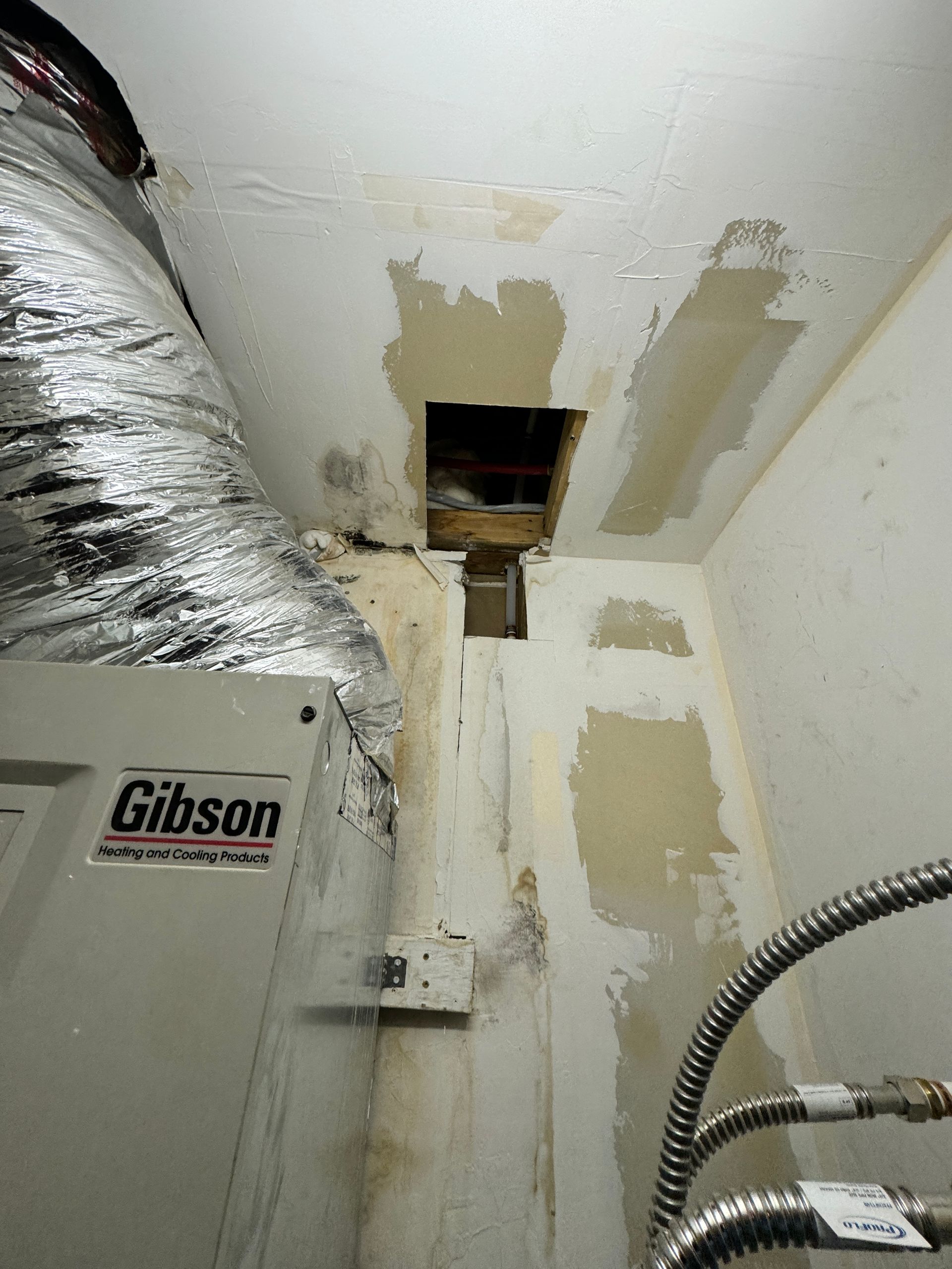 Mold Removal Brentwood TN
