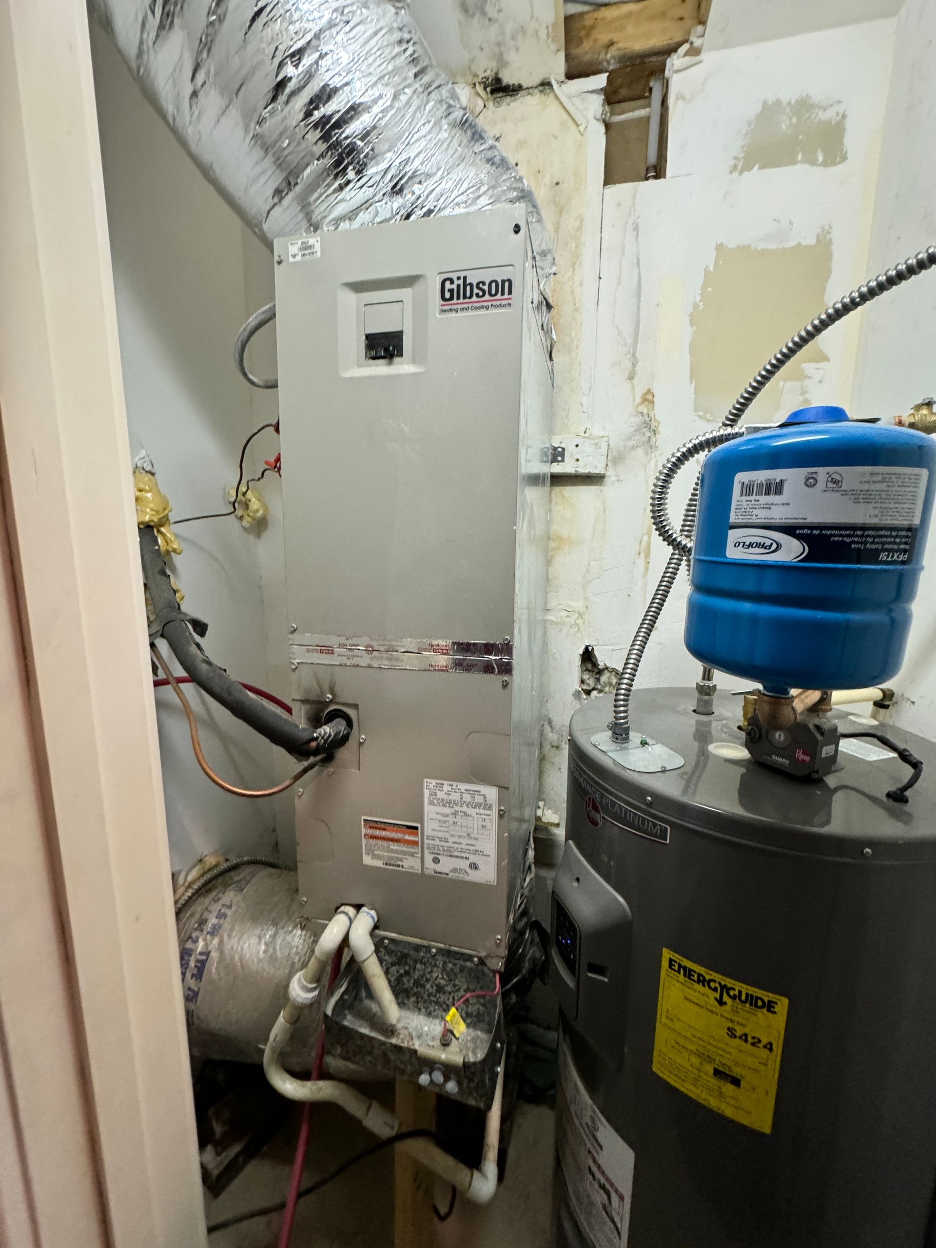 Mold Removal Franklin TN

