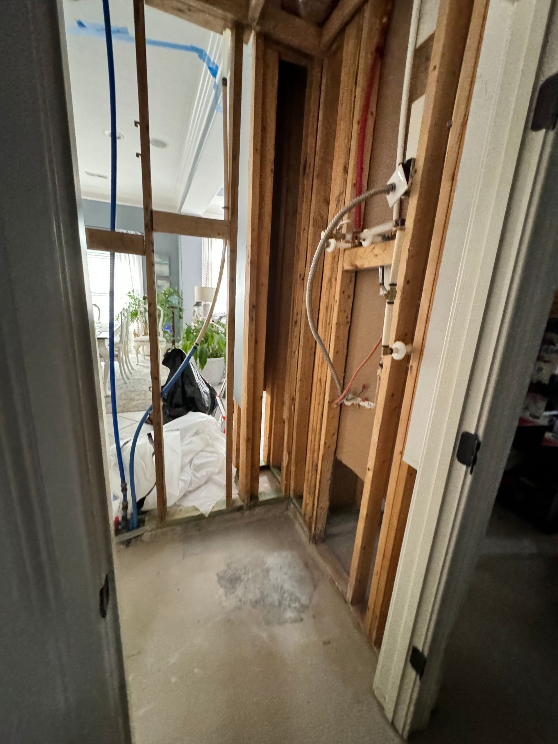 Mold Remediation Brentwood TN
