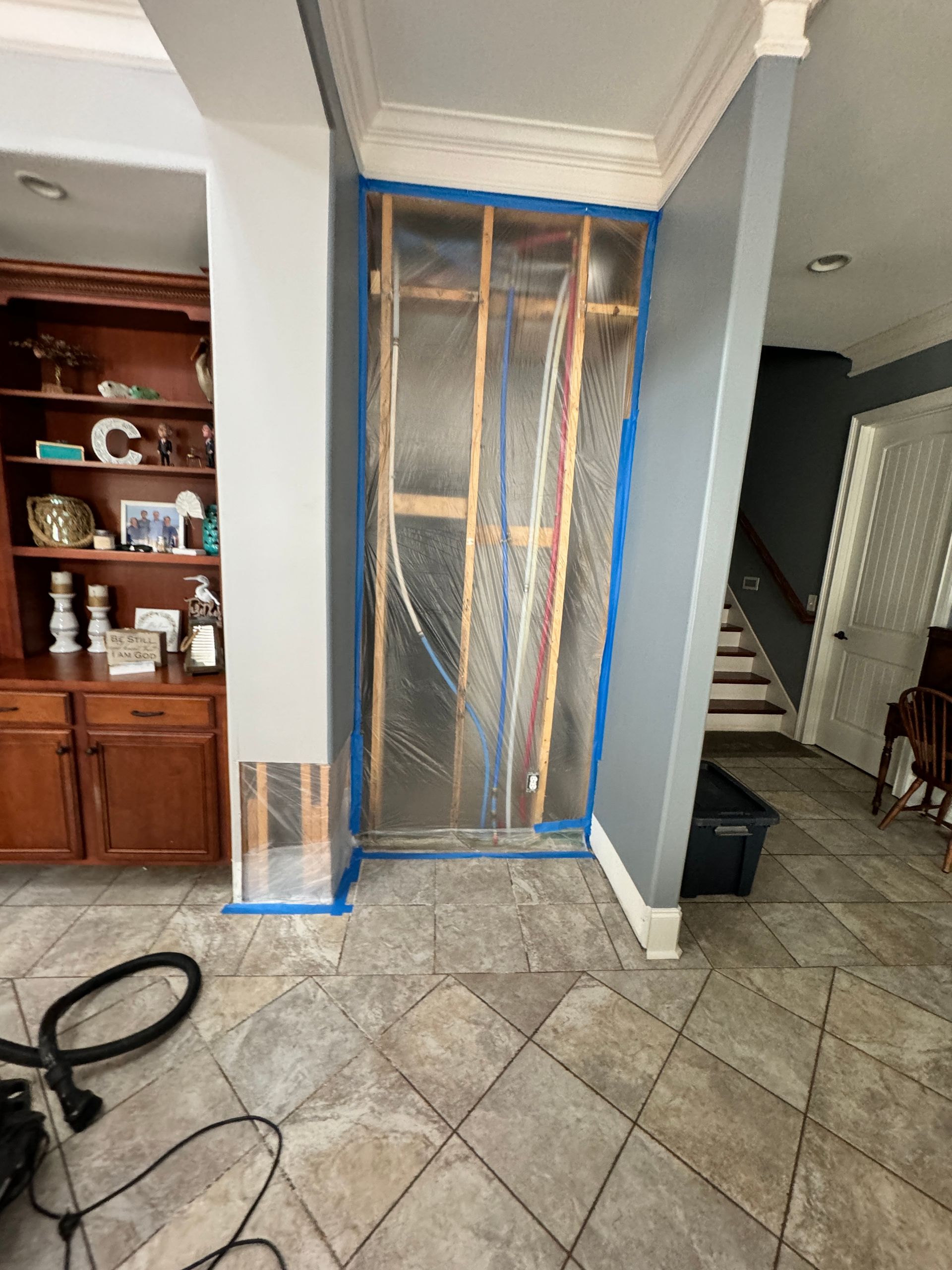 Mold Remediation Franklin TN
