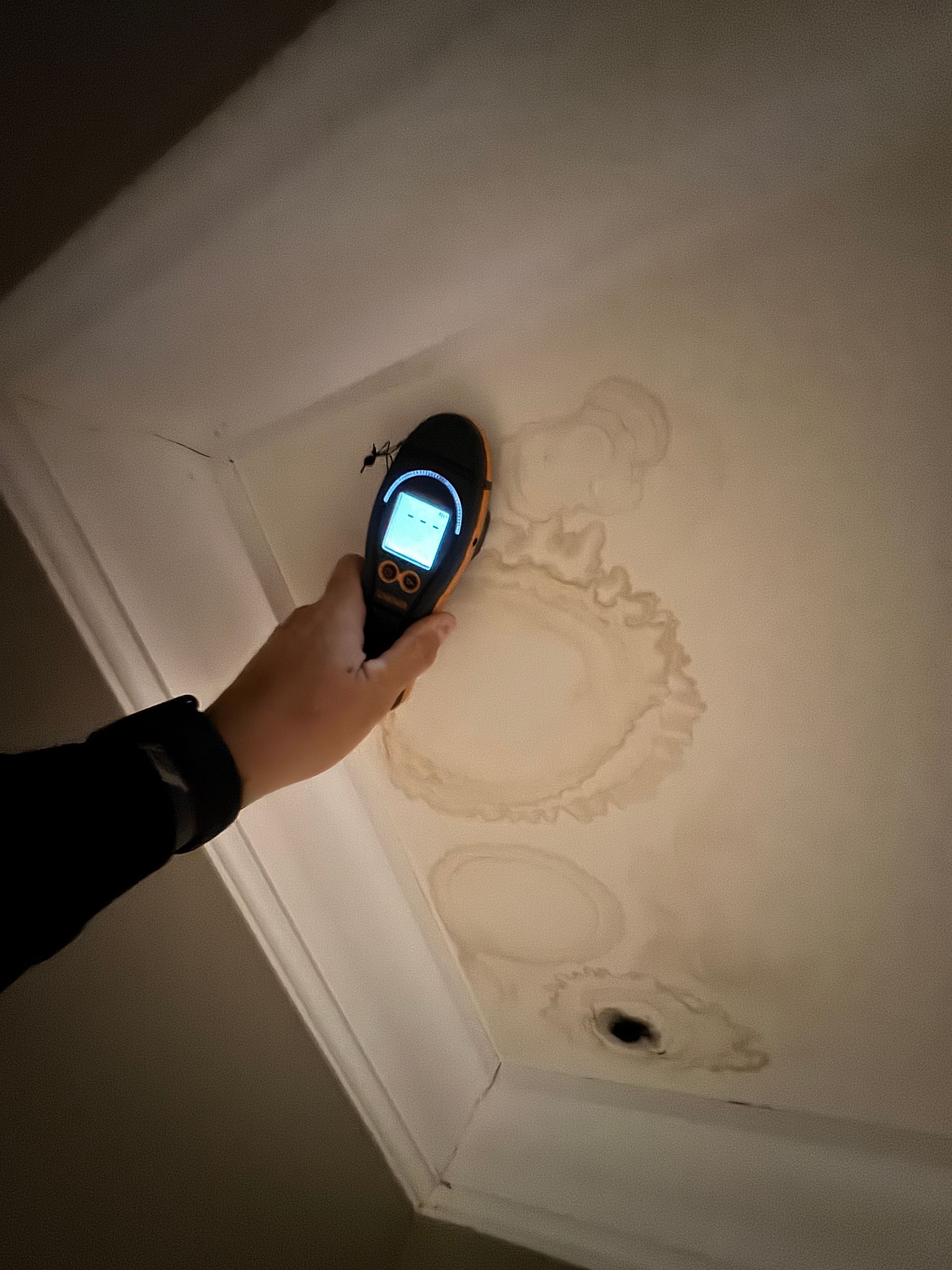 Black Mold Removal Murfreesboro TN
