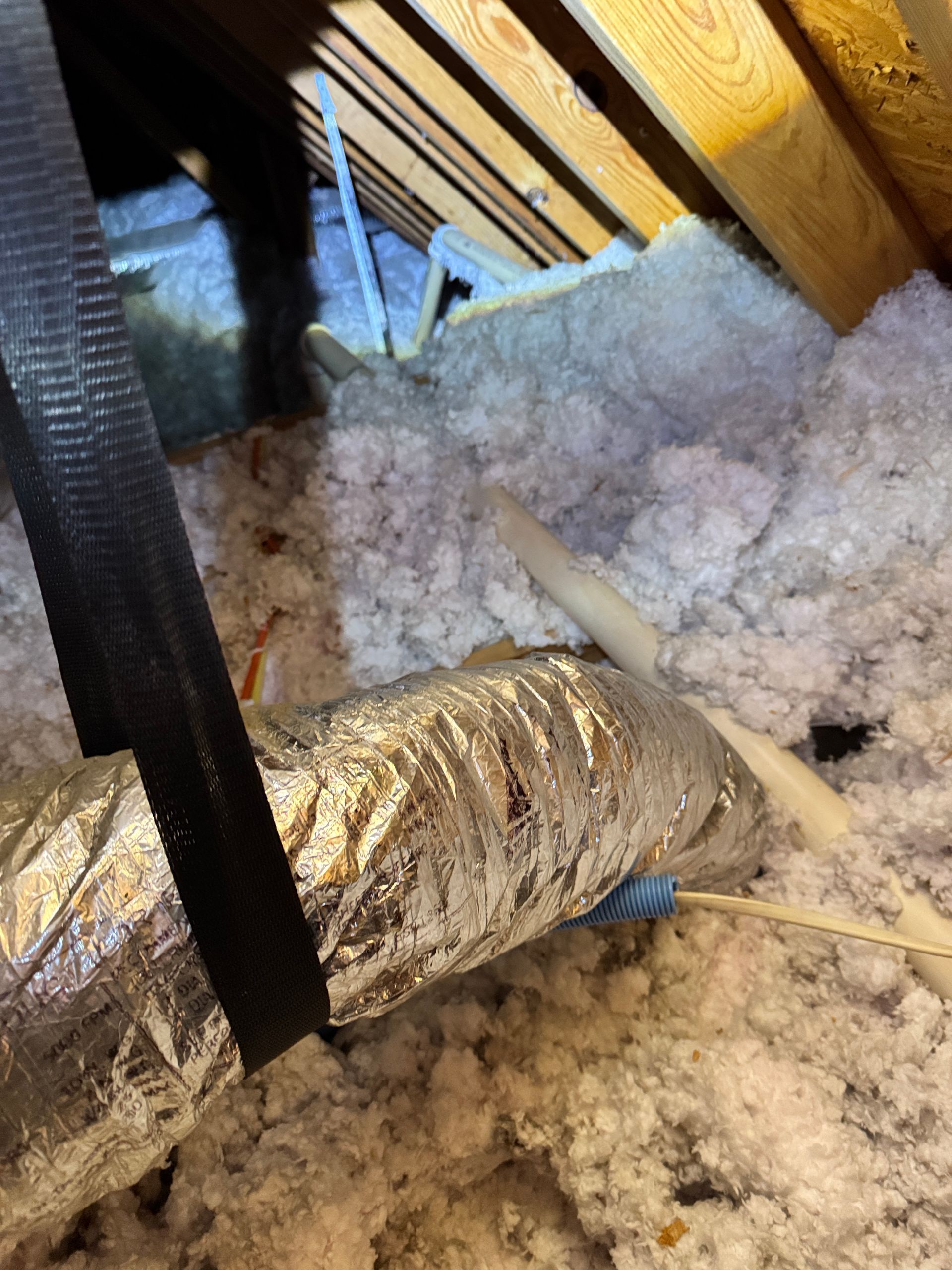 Mold Inspection Murfreesboro TN
