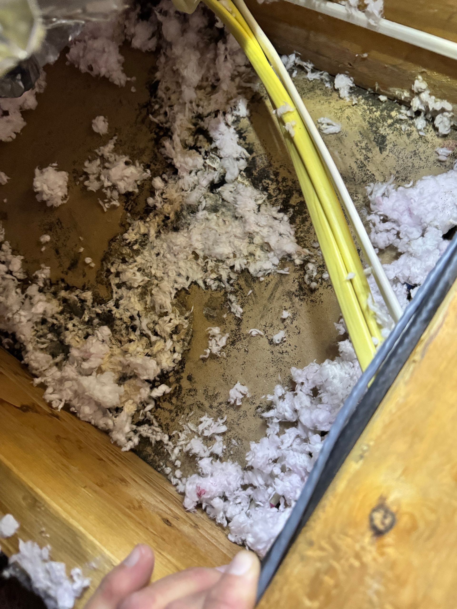 Mold Cleanup Services Murfreesboro TN
