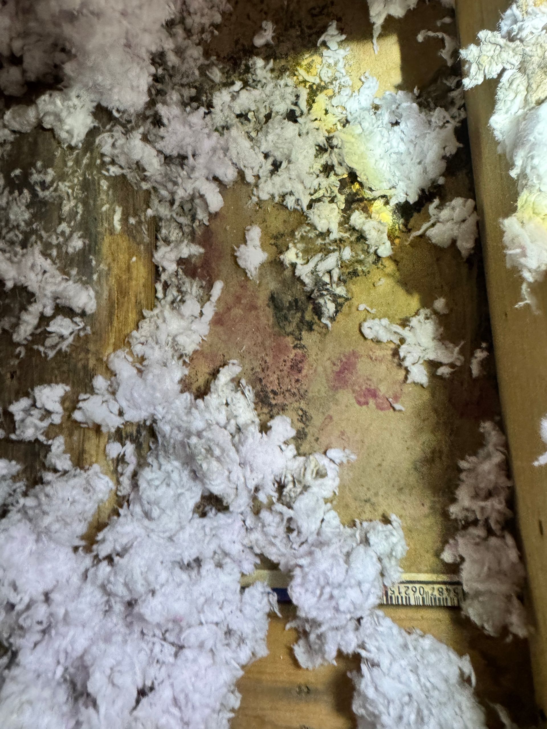 Mold Containment Murfreesboro TN
