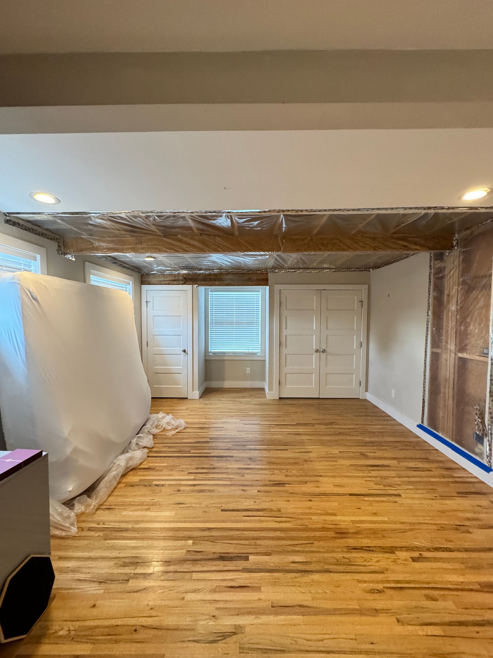 Mold Remediation Spring Hill TN
