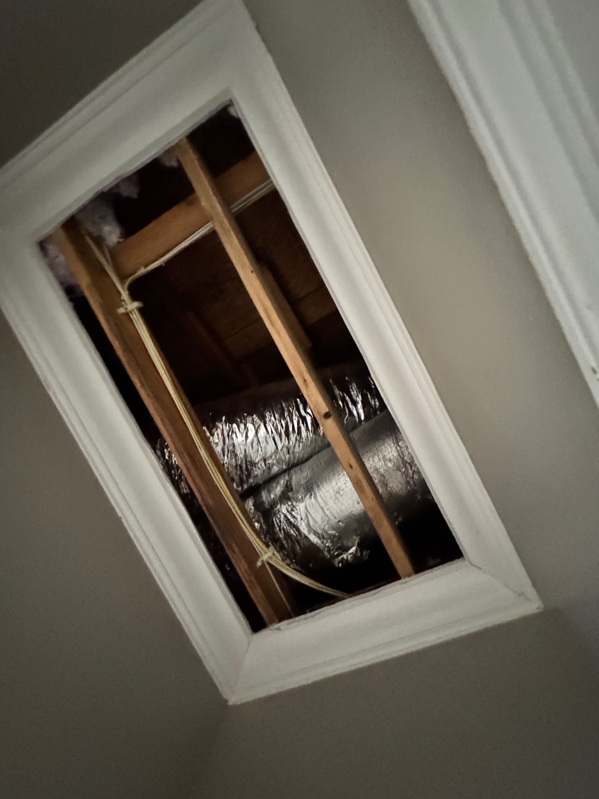 Mold Remediation Experts Murfreesboro TN
