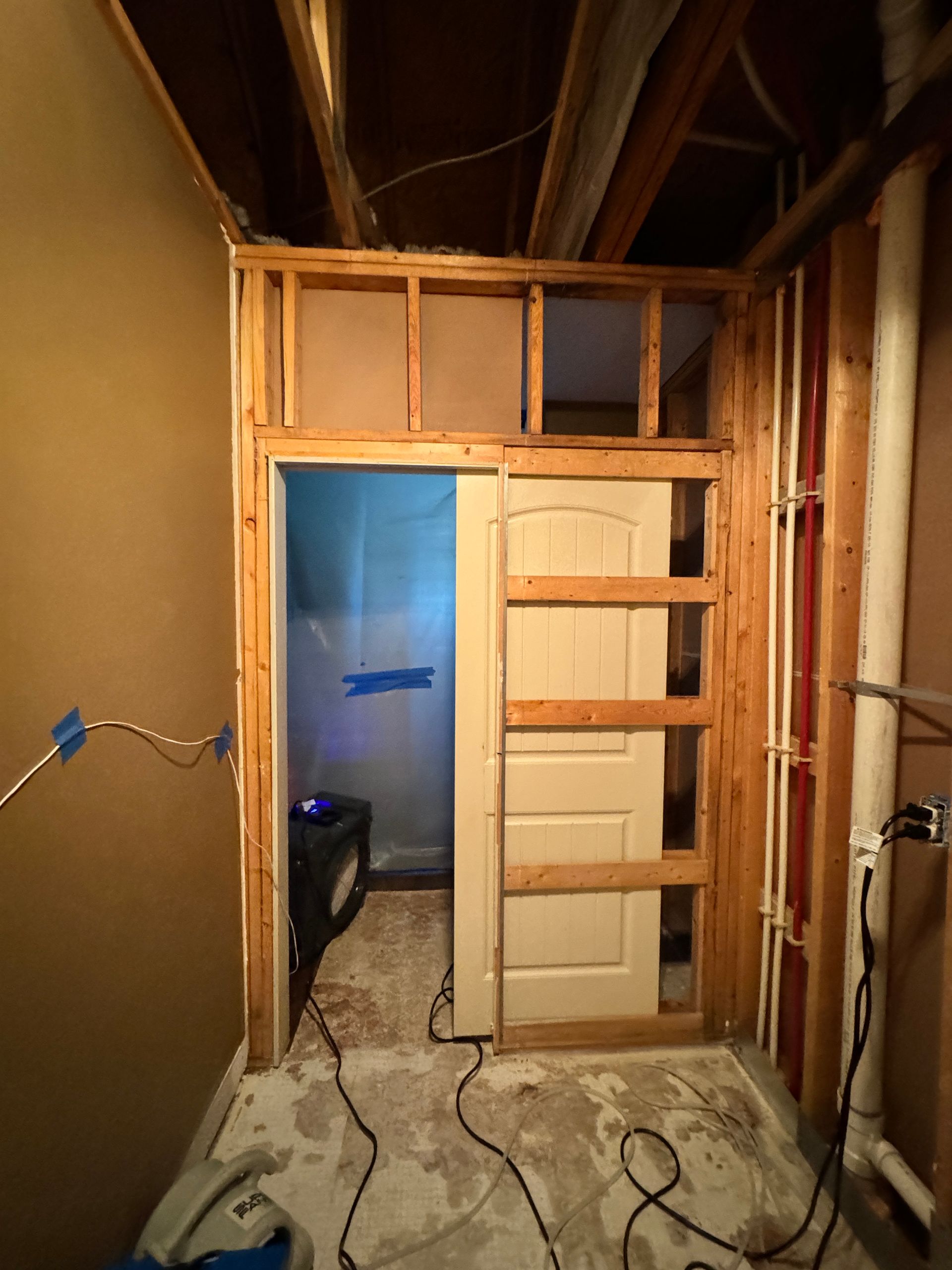 Mold Removal Nashville TN
