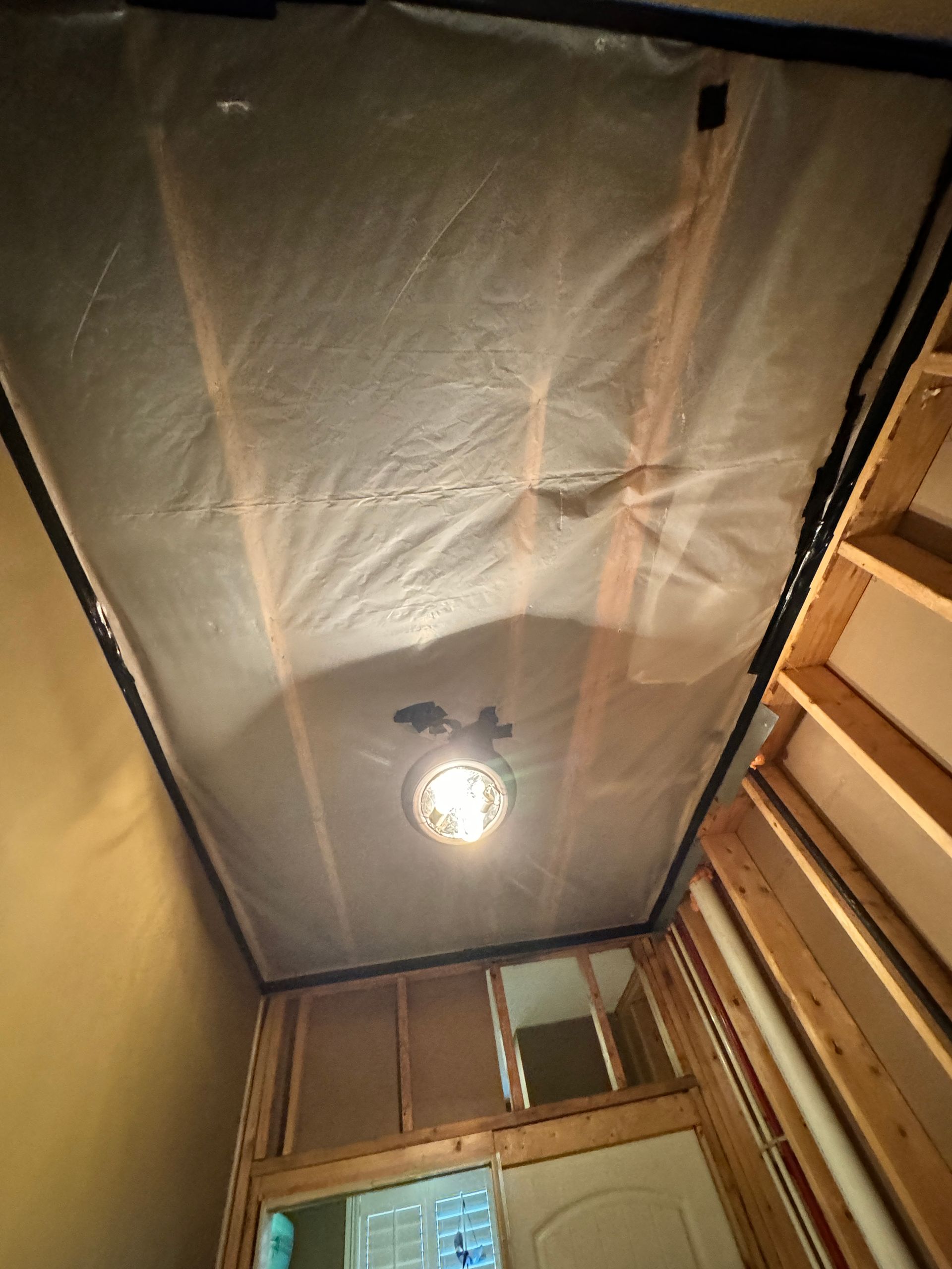 Mold Remediation Nashville TN
