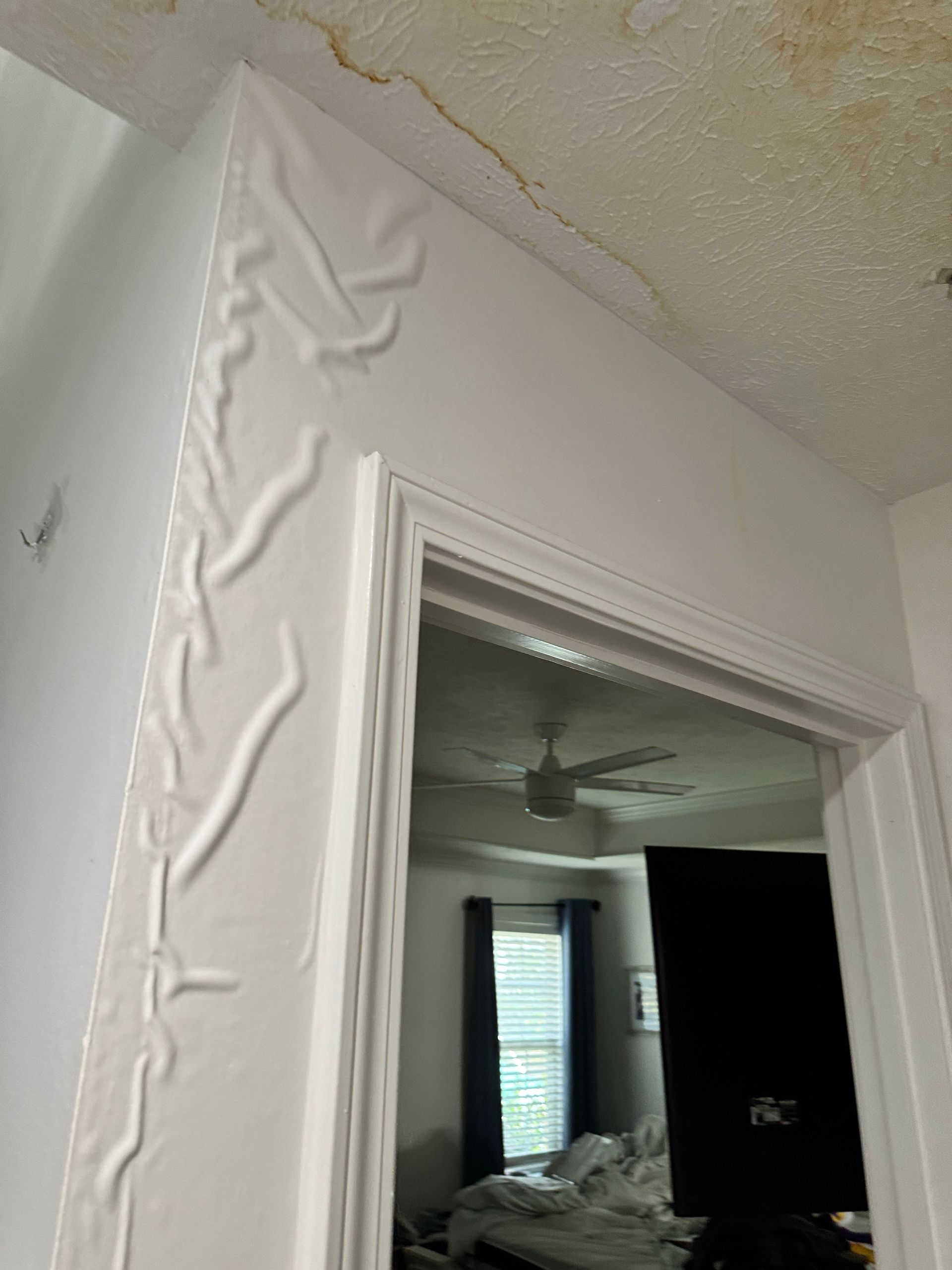 Water Damage Restoration Murfreesboro TN
