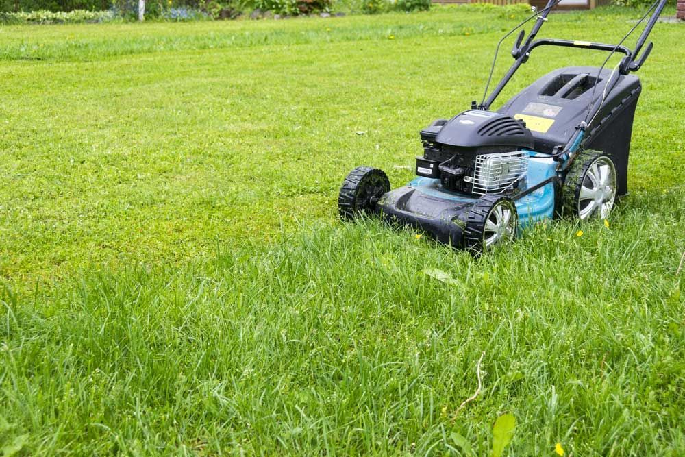 Lawn Mower on Green Grass — Professional Gardening Services in The Range, QLD