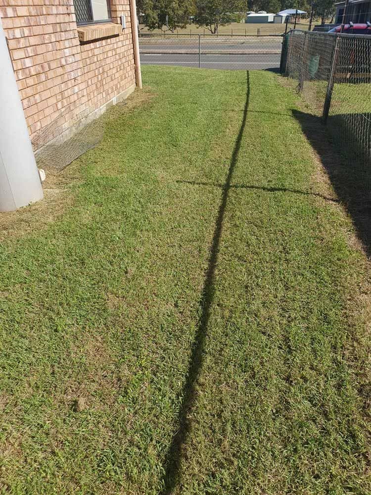 Freshly Mowed Lawn — Professional Gardening Services in The Range, QLD