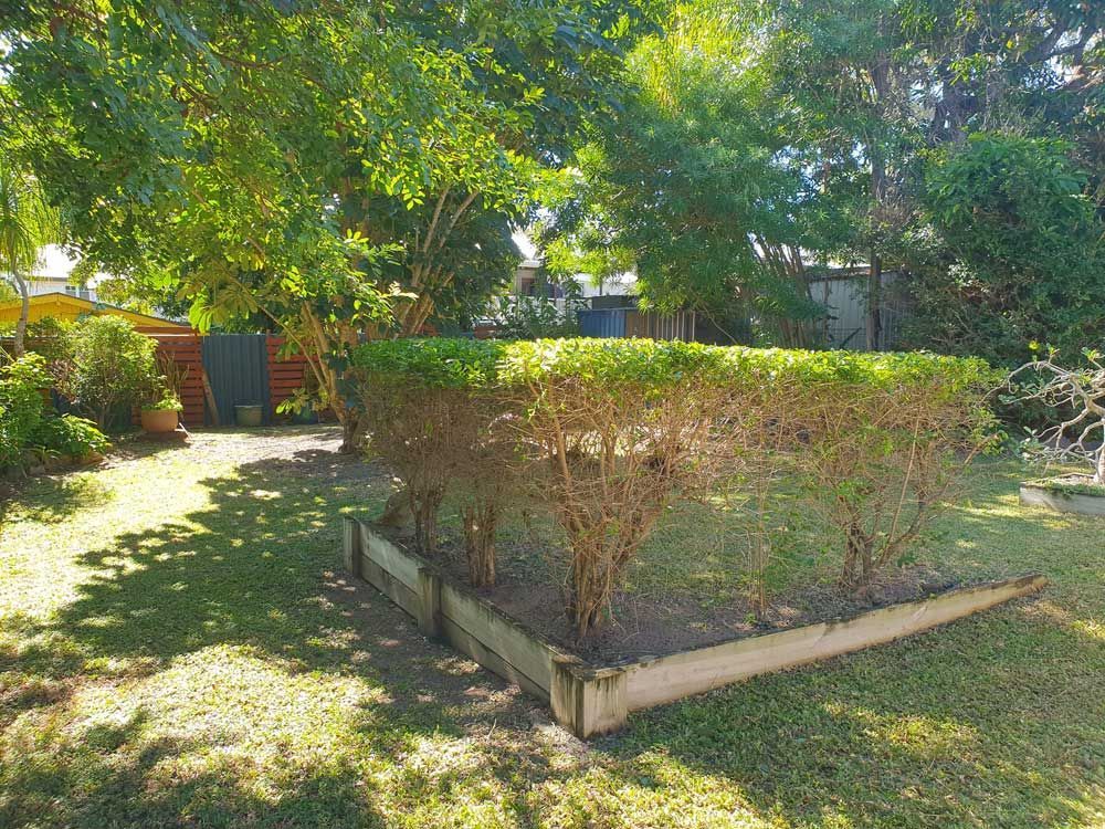 Residential Yard Landscaping — Professional Gardening Services in The Range, QLD