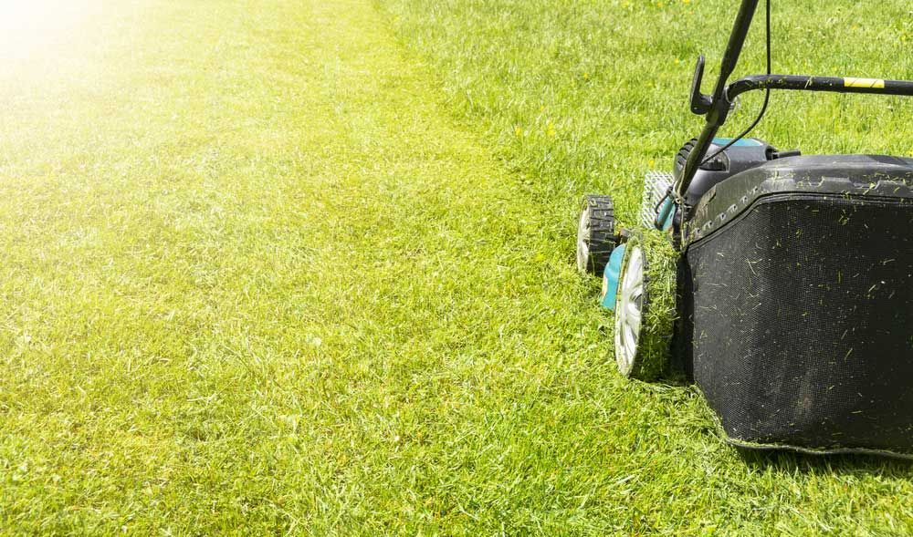 Worker Cutting Grass Using a Lawn Mower — Professional Gardening Services in The Range, QLD