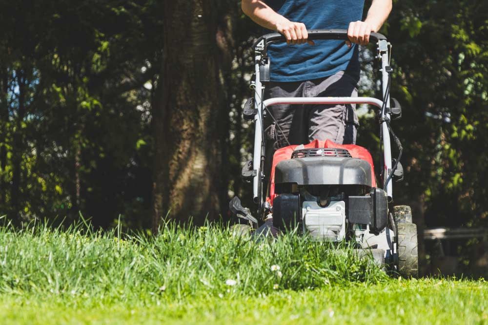 Worker Mowing the Grass with a Lawn Mower — Professional Gardening Services in The Range, QLD