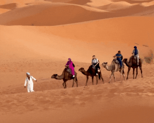 Um navio de cruzeiro está flutuando em cima de um corpo de água.