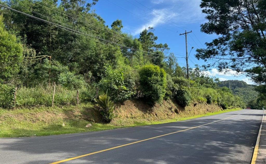Uma estrada com muitas árvores ao lado.